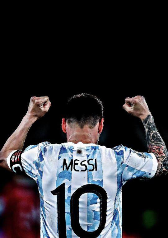 近悦远来·营城兴业丨逛营地、骑骏马！邛崃首家马术野骑营地开启乡村游玩新体验（邛崃首家马术野骑营地开营：逛营地、策马乡野，解锁乡村游新玩法）